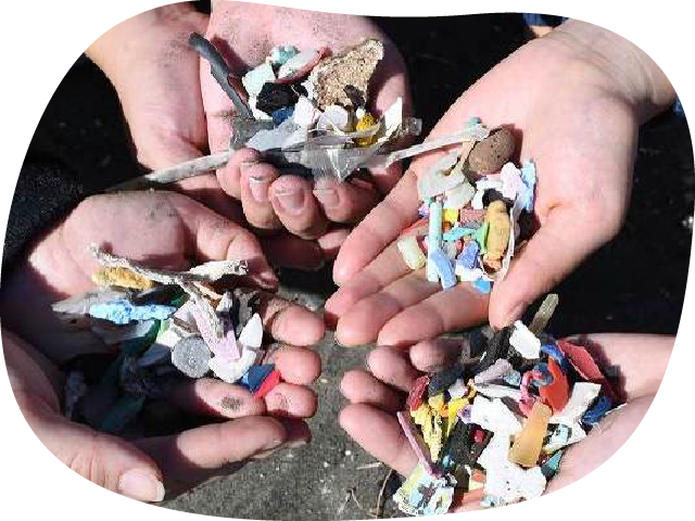 2019年11月 片瀬東浜海岸で拾ったマイクロプラスティック